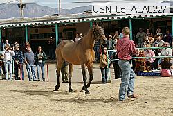 usn_05_ala0227 thumbnail