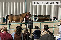 usn_05_ala0240 thumbnail