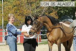 usn_05_ala0072 thumbnail