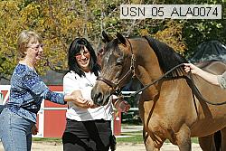 usn_05_ala0074 thumbnail