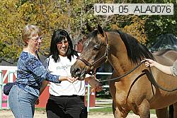 usn_05_ala0076 thumbnail