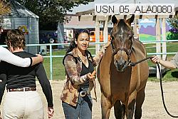 usn_05_ala0080 thumbnail