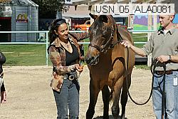 usn_05_ala0081 thumbnail