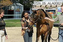 usn_05_ala0082 thumbnail