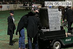 usn_05_31934 thumbnail