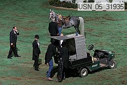 usn_05_31935 thumbnail