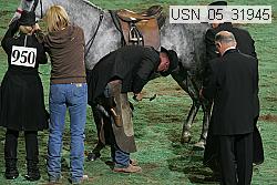 usn_05_31945 thumbnail