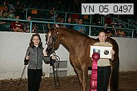 yn_05_0497 thumbnail
