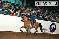 yn_05_2114 thumbnail