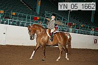 yn_05_1662 thumbnail