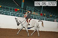 yn_05_1707 thumbnail