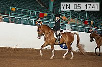 yn_05_1741 thumbnail