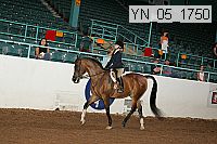 yn_05_1750 thumbnail