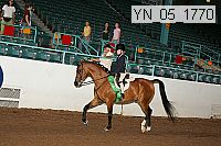 yn_05_1770 thumbnail