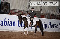 ynha_05_3749 thumbnail