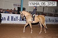 ynha_05_3757 thumbnail