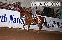 ynha_05_3785 thumbnail