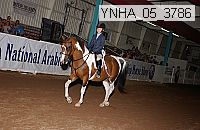 ynha_05_3786 thumbnail