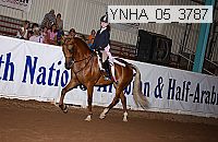 ynha_05_3787 thumbnail