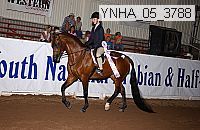 ynha_05_3788 thumbnail