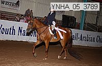 ynha_05_3789 thumbnail