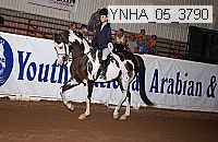 ynha_05_3790 thumbnail