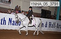 ynha_05_3791 thumbnail