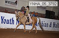 ynha_05_3792 thumbnail