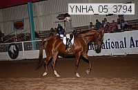 ynha_05_3794 thumbnail