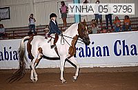 ynha_05_3796 thumbnail