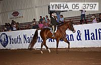 ynha_05_3797 thumbnail