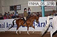 ynha_05_3798 thumbnail