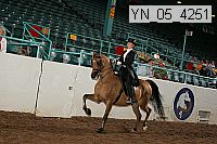 yn_05_4251 thumbnail