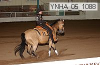 ynha_05_1088 thumbnail