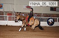 ynha_05_1091 thumbnail