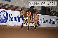 ynha_05_4021 thumbnail