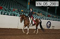 yn_05_2981 thumbnail