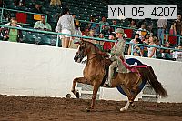 yn_05_4207 thumbnail