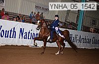 ynha_05_1542 thumbnail