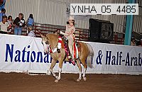 ynha_05_4485 thumbnail