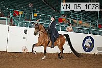yn_05_1078 thumbnail