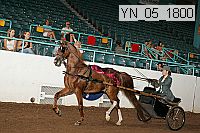 yn_05_1800 thumbnail