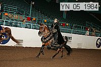 yn_05_1984 thumbnail