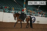 yn_05_2442 thumbnail