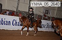 ynha_05_2640 thumbnail