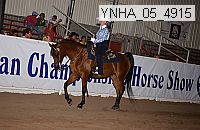 ynha_05_4915 thumbnail