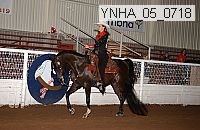 ynha_05_0718 thumbnail