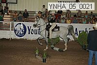 ynha_05_0021 thumbnail