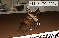 ynha_05_2254 thumbnail