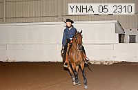 ynha_05_2310 thumbnail